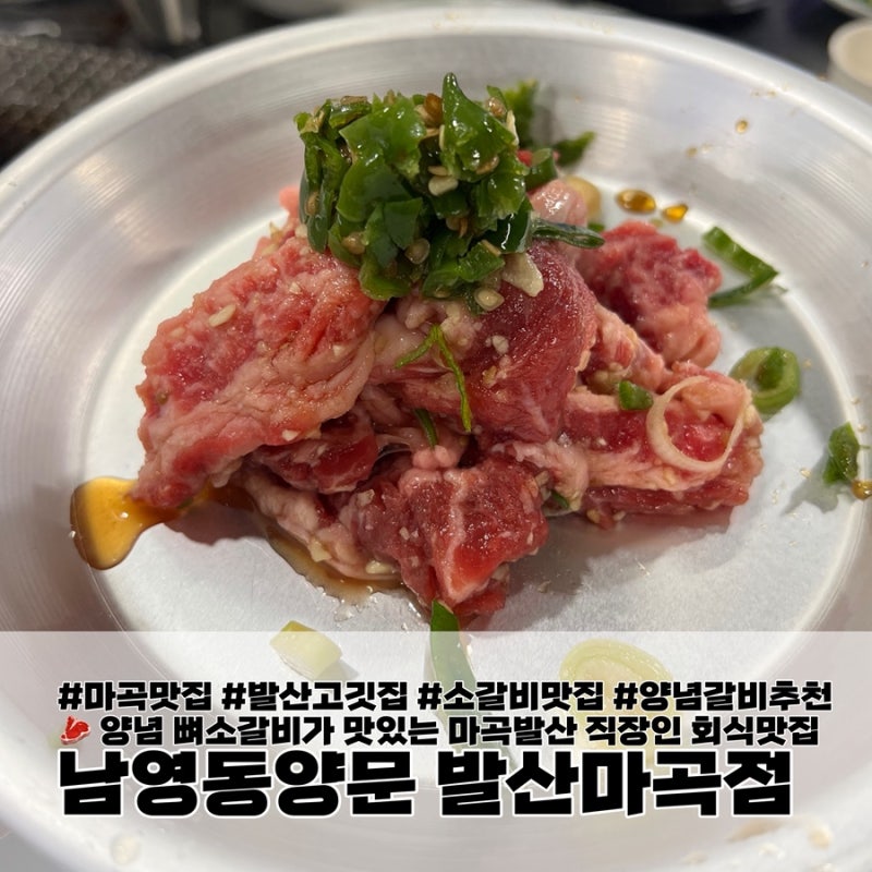 마곡회식 뼈 생소갈비 양념소갈비 발산마곡 맛집 남영동양문