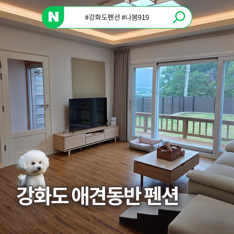 사진 2