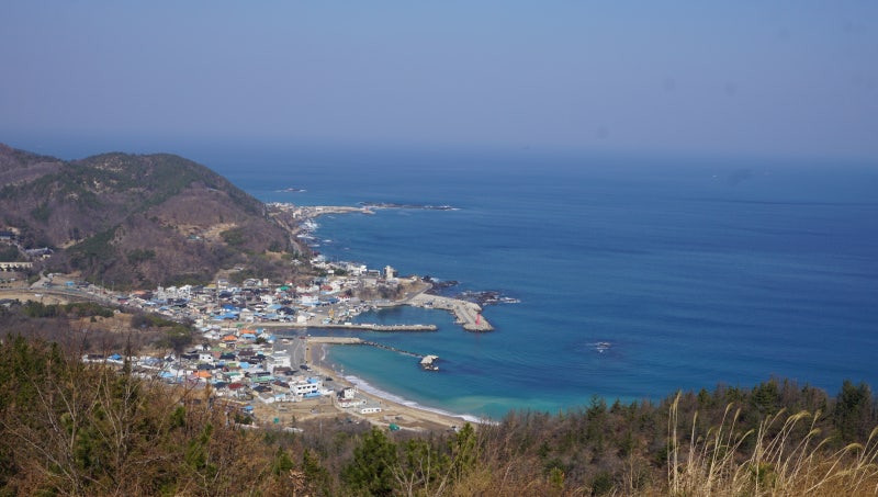 사진 4