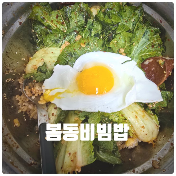  [쉬운레시피] 봄동겉절이 & 봄동비빔밥 레시피 (조리시간 : 15분)