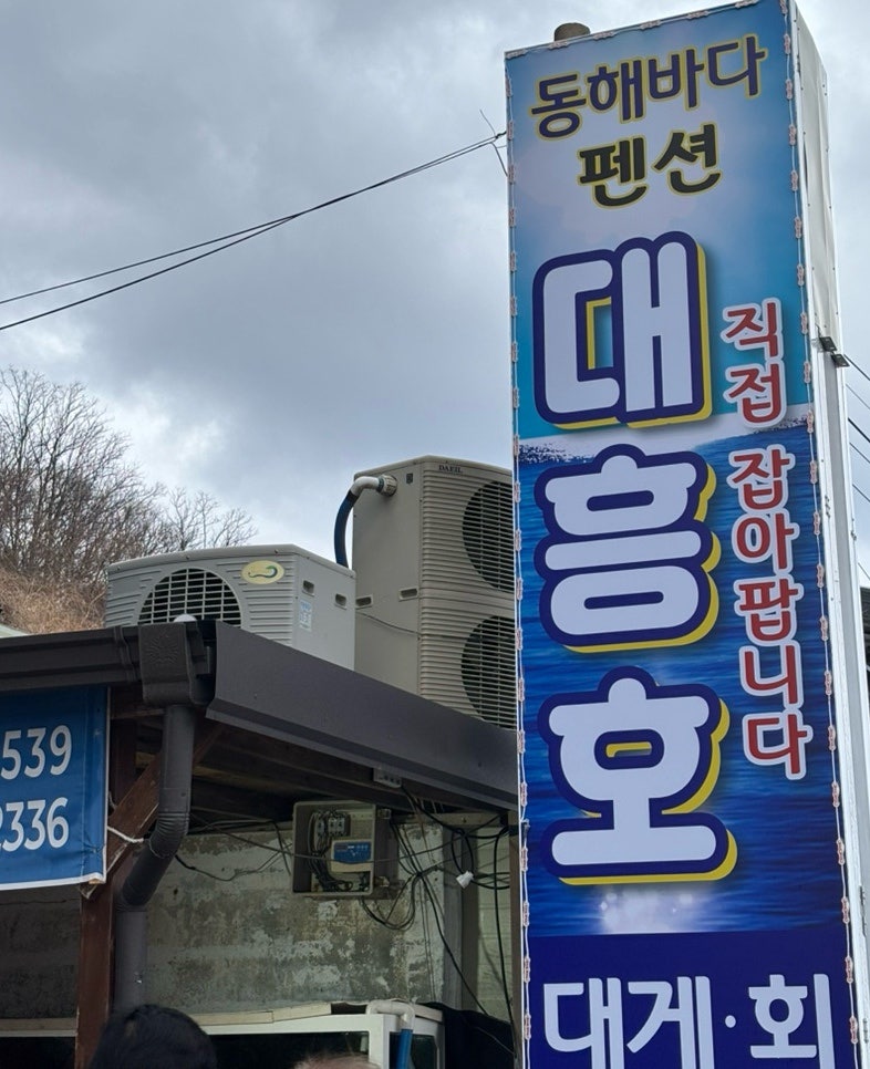대흥호회대게 사진 3