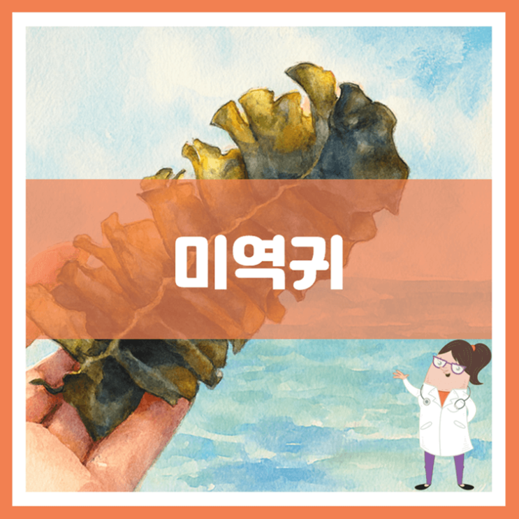  미역귀 효능 부작용 보관방법