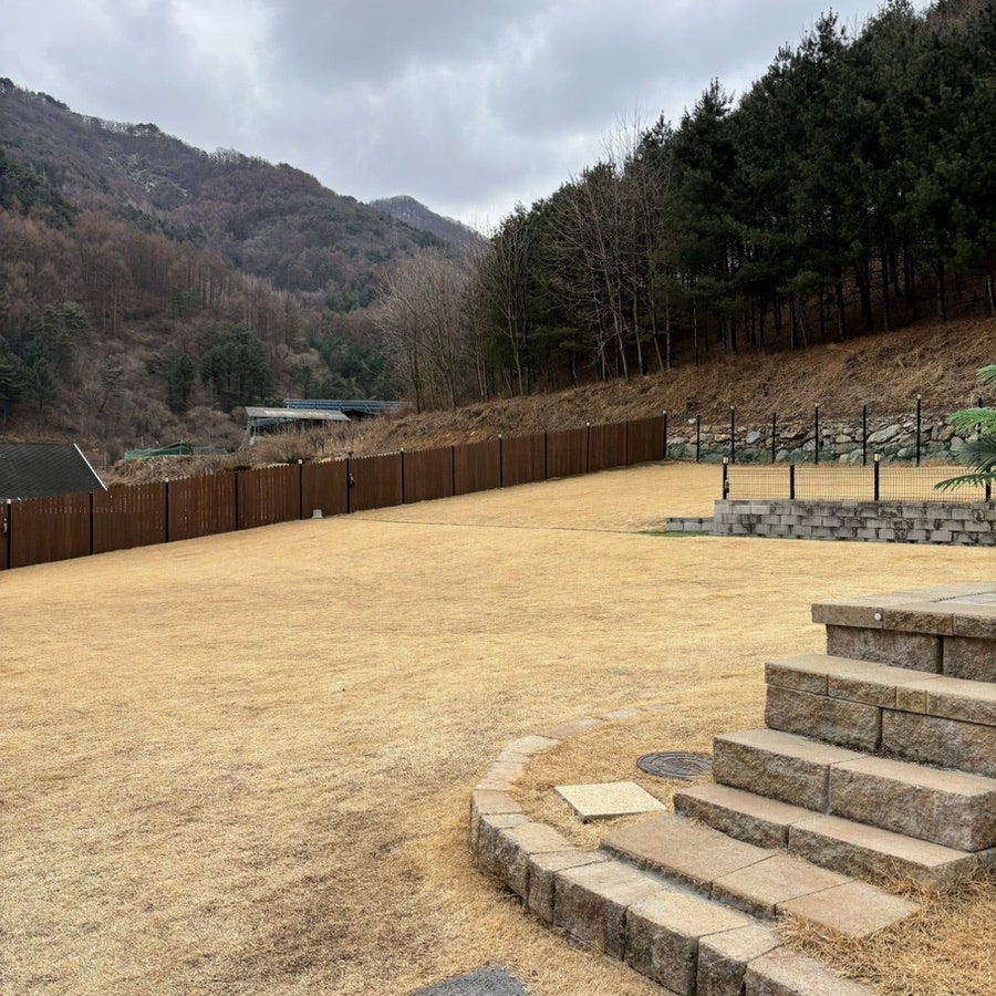 멍디브 사진 4