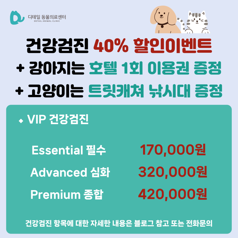 사진 4