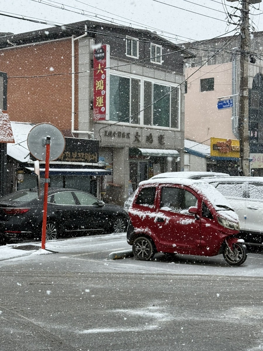 대홍운 사진 1