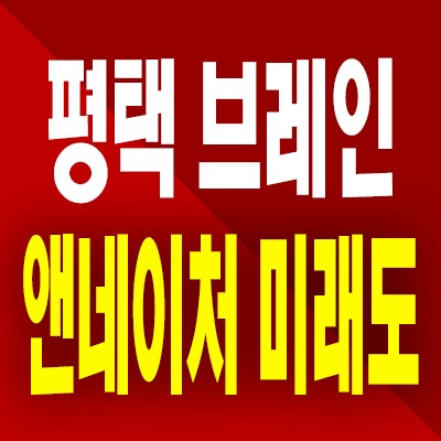  평택 브레인시티 앤네이처 미래도 미분양 10블럭 잔여세대 모델하우스 분양정보