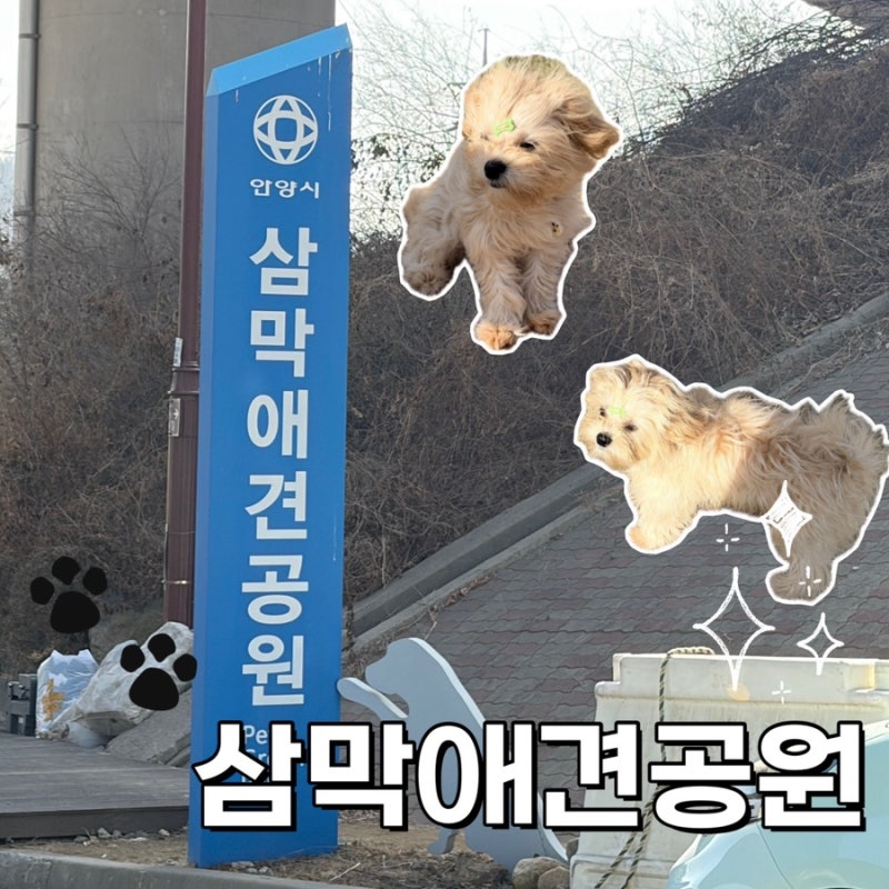 사진 6