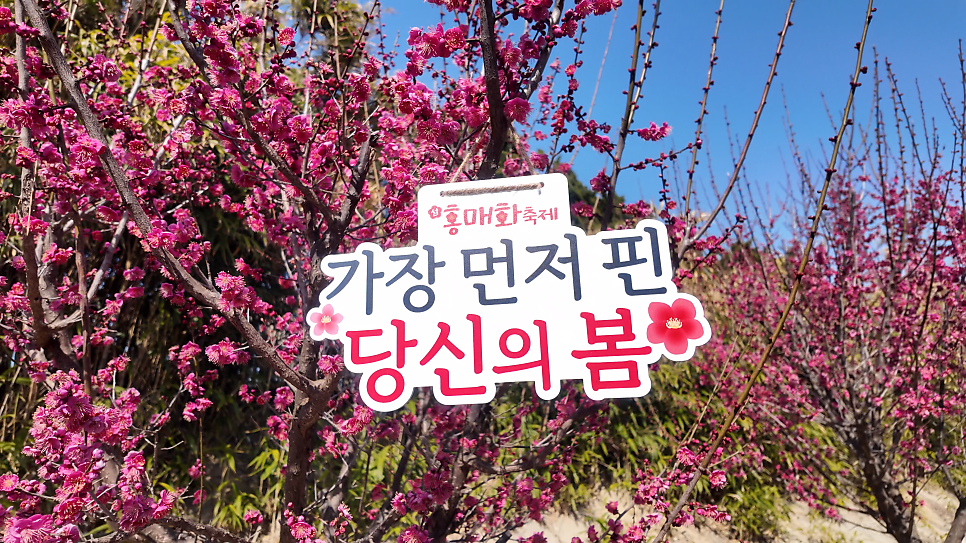 우가 사진 3