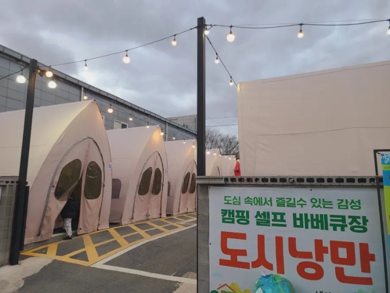 사진 3