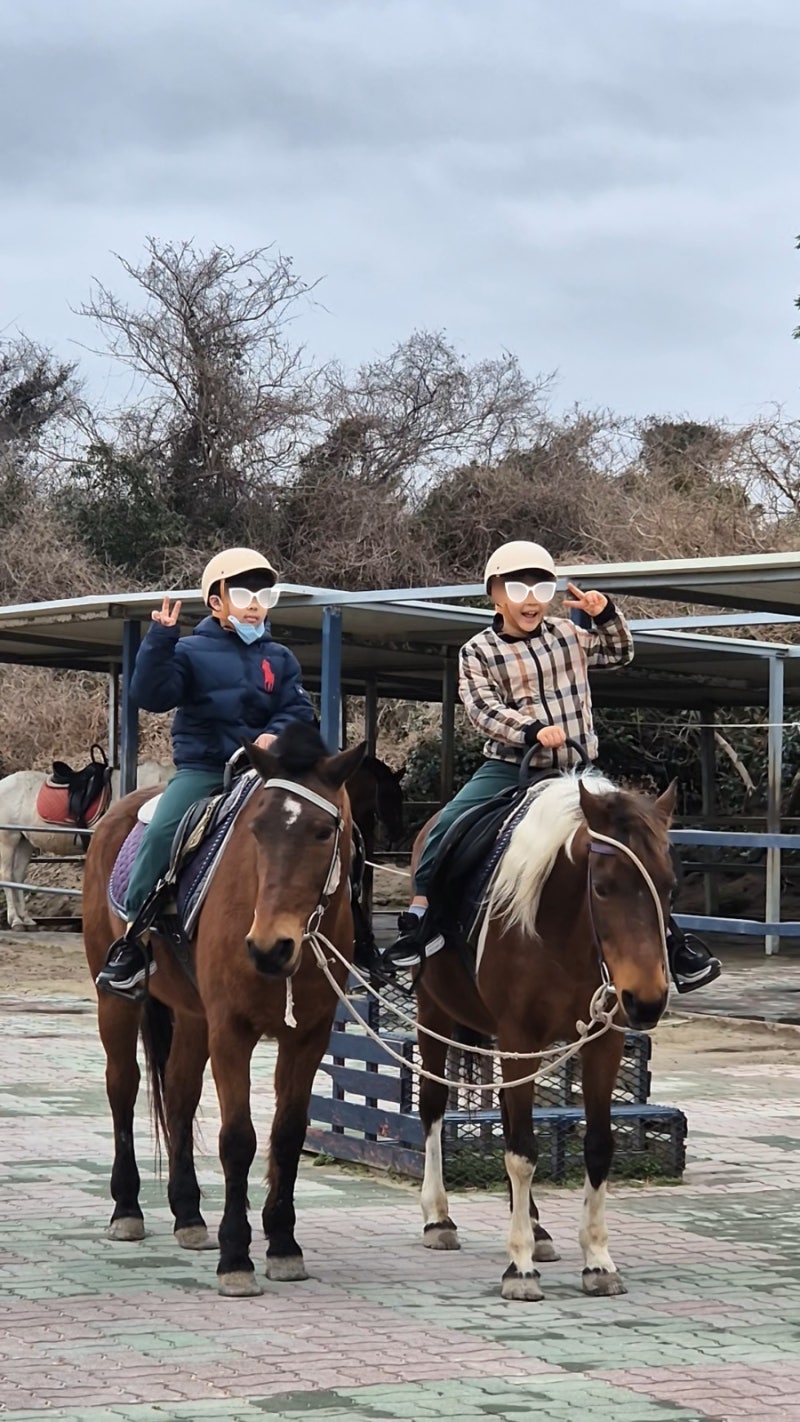 제주도 가볼만한 곳 승마, 공연, 카트를 한번에 더마파크