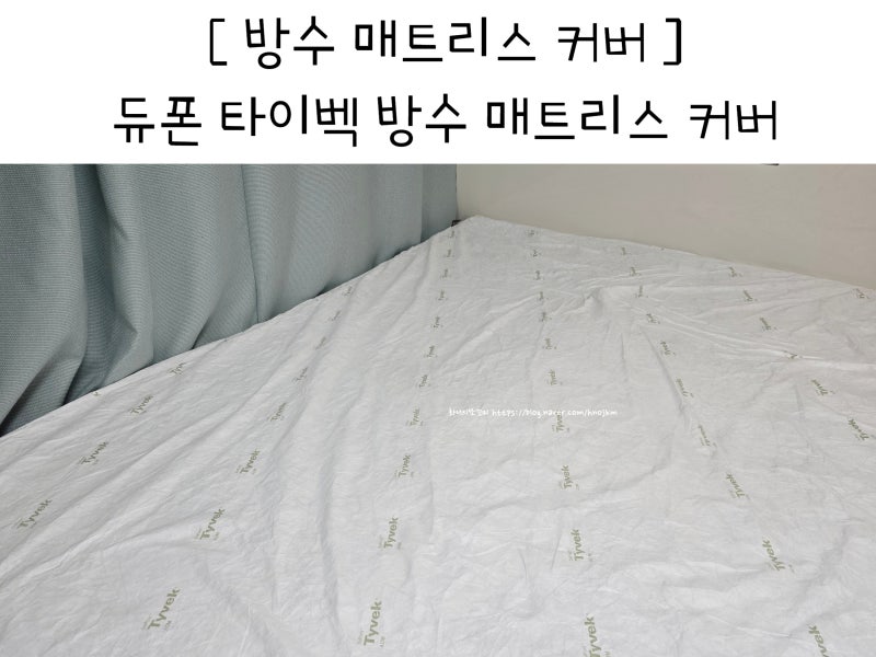 비염 방수 매트리스 커버 퀸 내돈내산 장당점 후기 듀폰 타이벡 세탁 방법