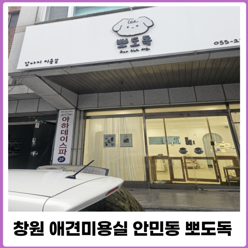 사진 3