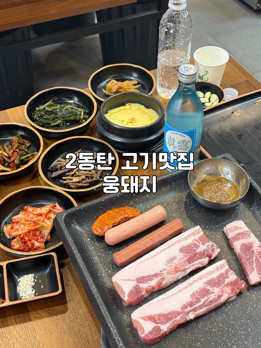 웅돼지 사진 1