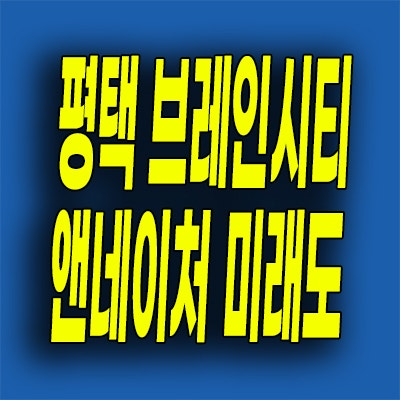  평택 브레인시티 10블럭 미분양아파트 장안동 앤네이처 미래도 잔여세대
