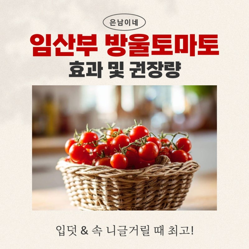 임산부 방울토마토 효능 및 권장량, 입덧 & 속 니글거릴 때 최고!