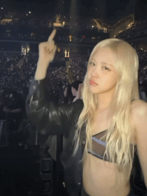  '비지니스 끊어줄테니 당장 와' 돈 쓰는 클래스가 다른 금발 월드스타 강아지도 화제