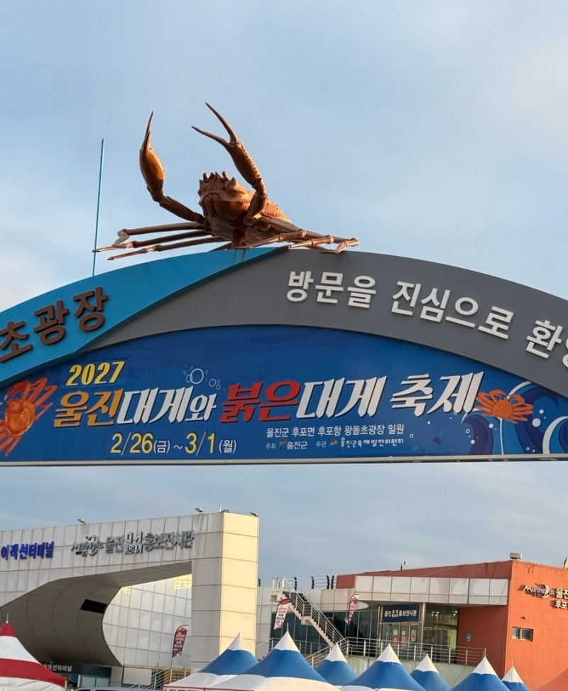 [울진] 2026울진대게와 붉은대게축제 / 울진대게축제후기 / 비싼 대게 값싸게 먹어보자