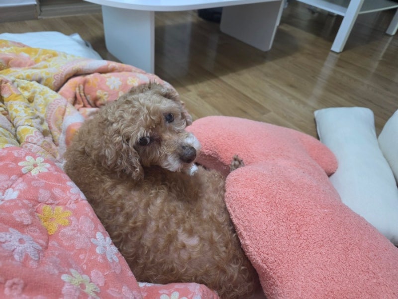 사진 5