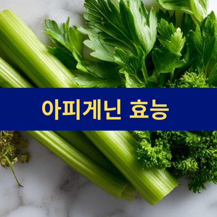  아피게닌 효능 및 권장 섭취량 | 파슬리 샐러리 효능