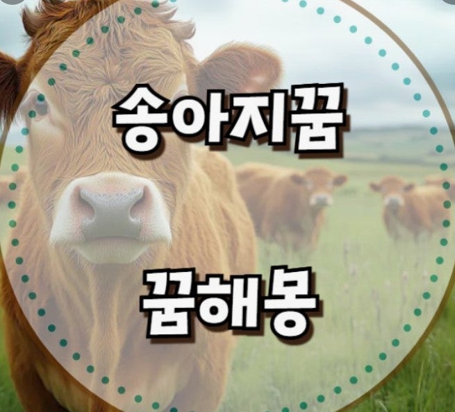 송아지꿈 상황별 해몽 총정리