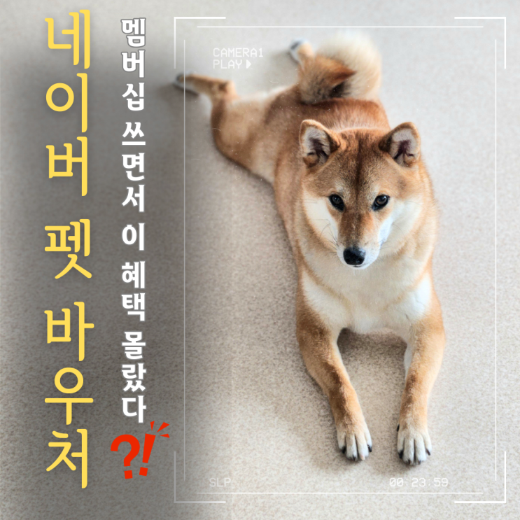  네이버 플러스 멤버십 펫 바우처 등록 방법과 혜택, 실제 사용 기록
