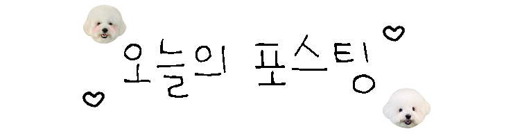 사진 3