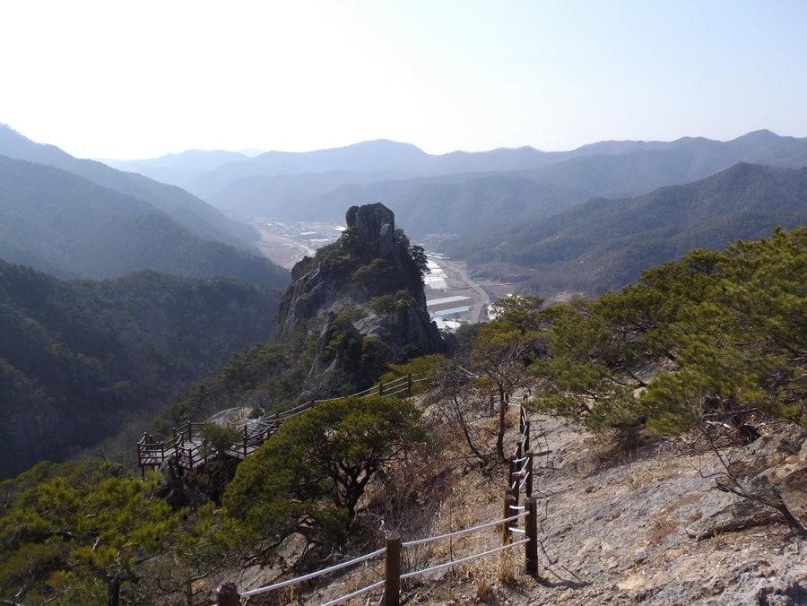 절골 사진 6
