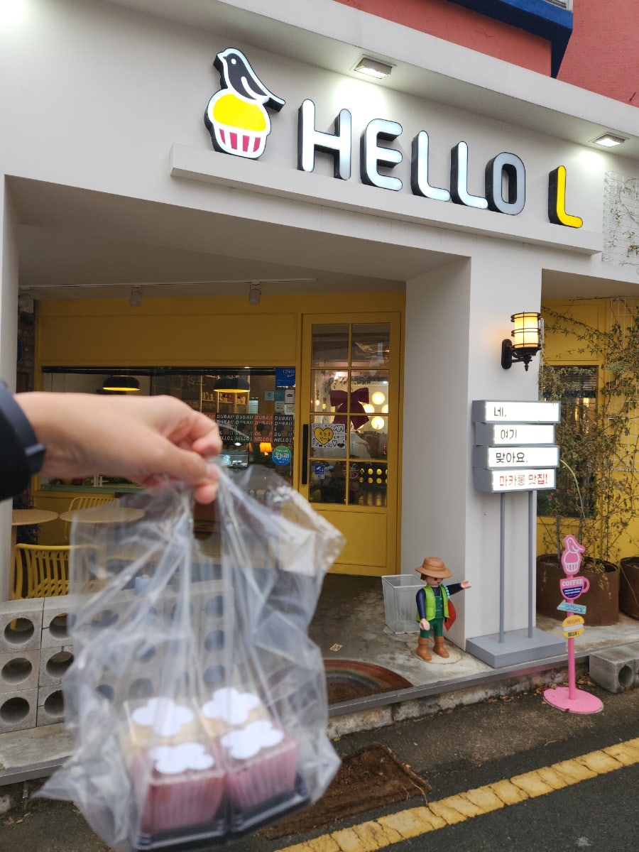 헬로우엘 사진 6