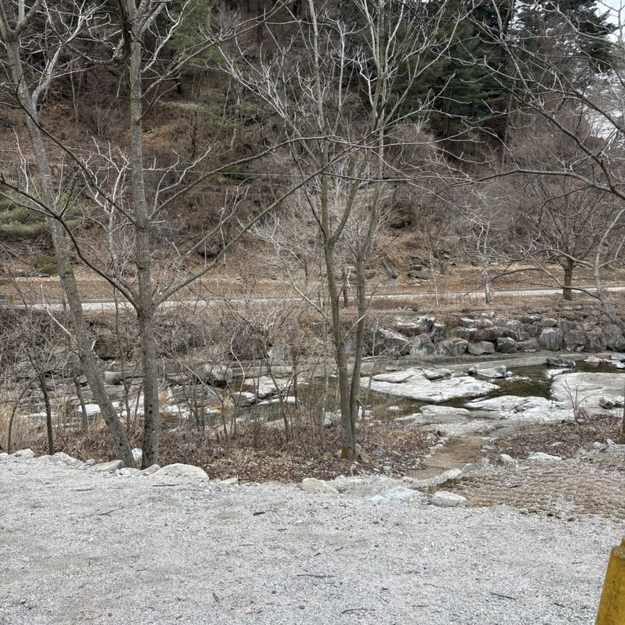 멍디브 사진 6