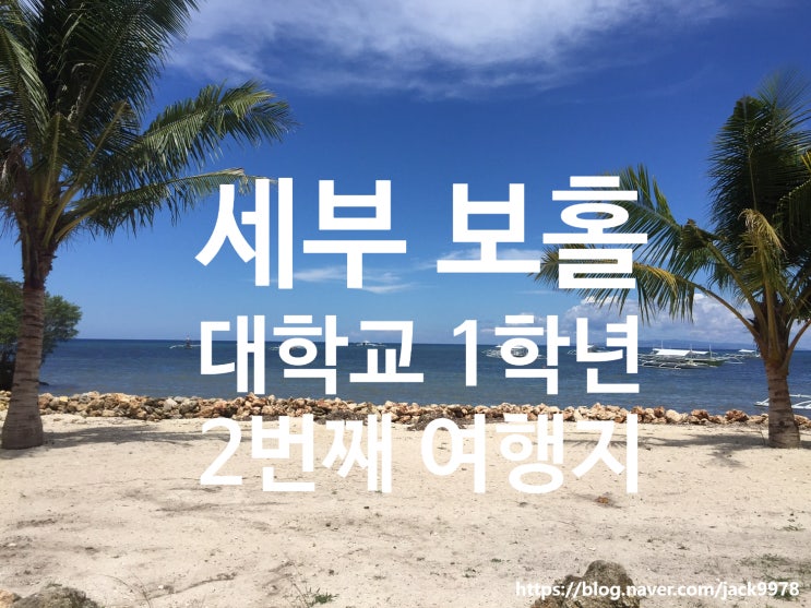  세부 보홀 여행기 | 대학생 첫 해외여행, 사람을 좋아하게 된 순간들