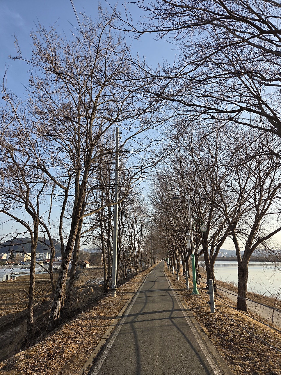 소양호어탕국수 사진 3