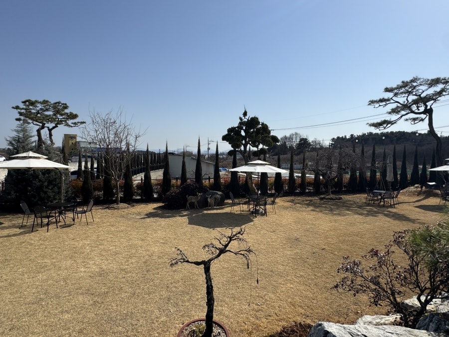 카페라이즈 사진 4