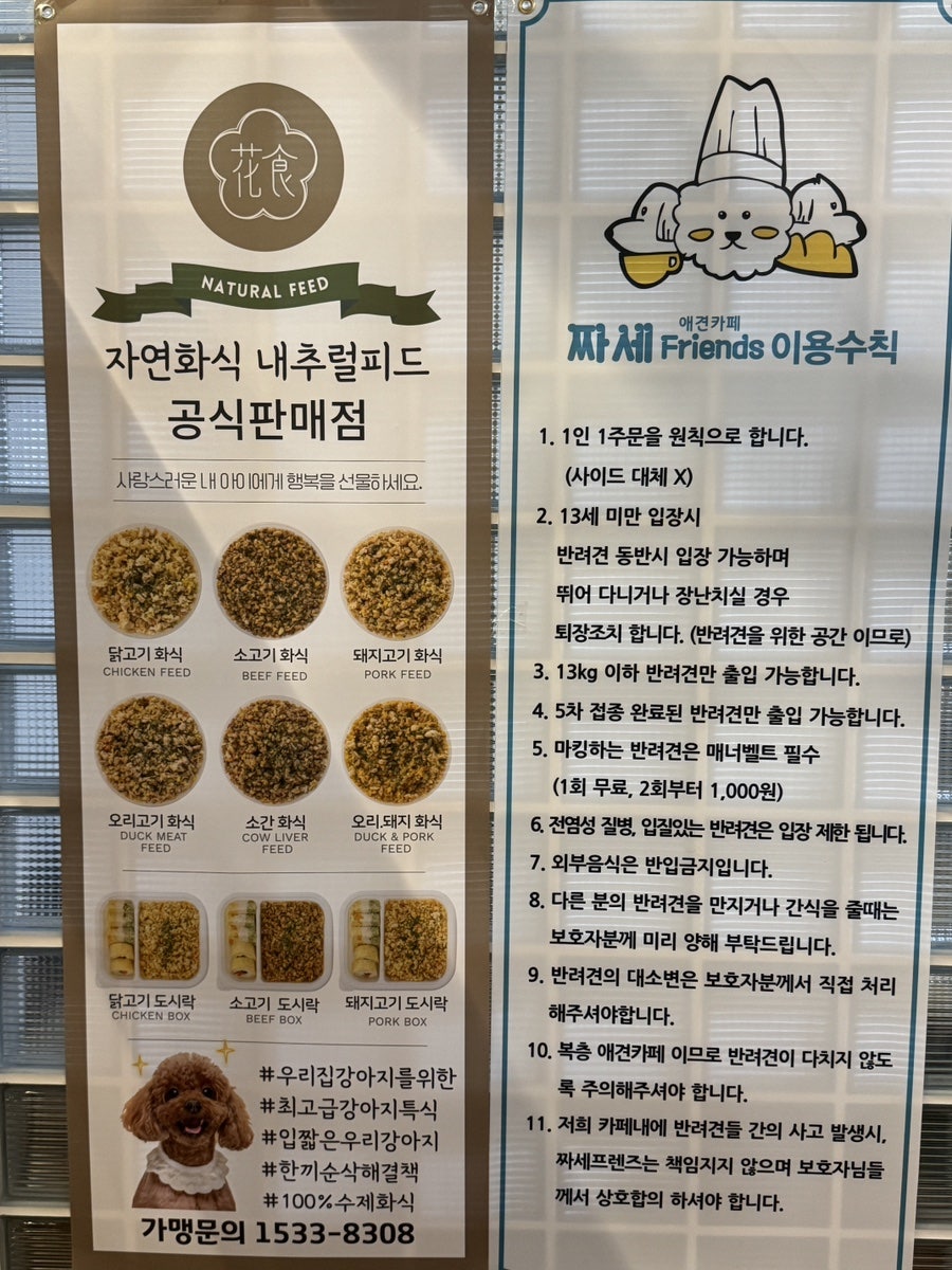 짜세프렌즈 사진 4