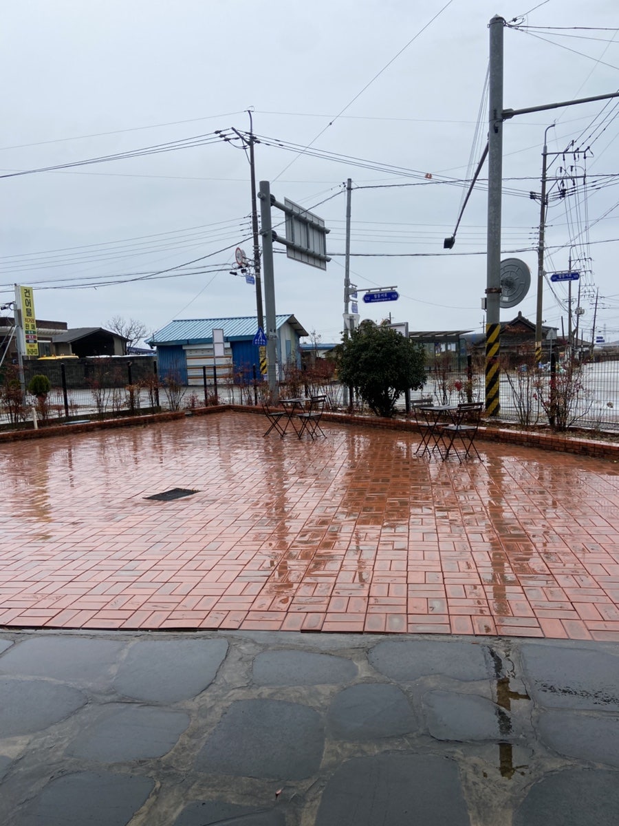 종달새 사진 5