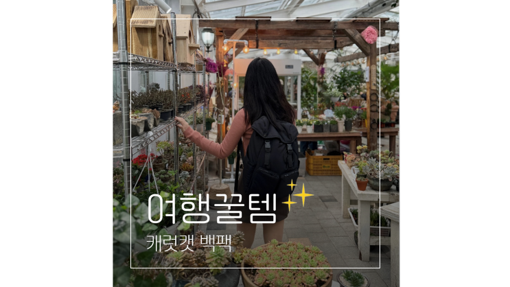  대학생 백팩 2만원대 가성비 캐럿캣 여행 준비물까지 한 번에