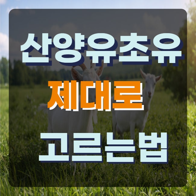 산양초유단백질 효능 산양유초유단백질 분말 스틱 추천은?