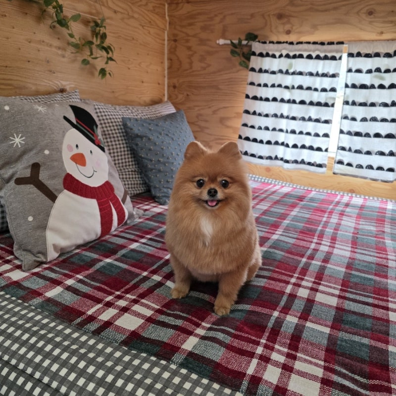 사진 3