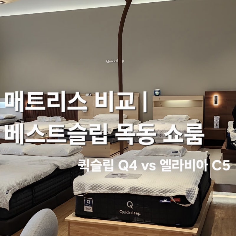 [첫 독립 준비] #1 내돈내산 매트리스편 | 베스트슬립 목동 쇼룸, 퀵슬립 Q4, 엘라비아 C5 비교