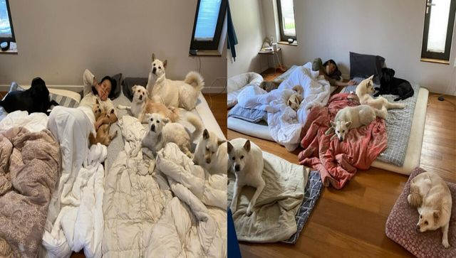  "정리 좀 하시지" vs "무례한 오지랖"… 이효리 집 상태 두고 온라인 논쟁