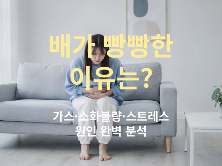  배가 빵빵한 이유는? 가스·소화불량·스트레스 원인 완벽 분석