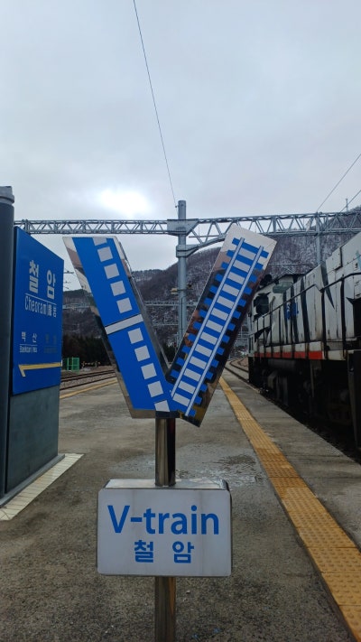 사진 8