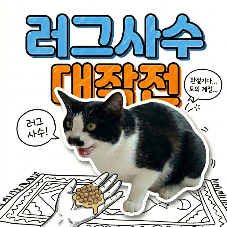  환절기 고양이 헤어볼 사료토 대처법, 초보 집사 탈출하는 색깔별 구토 확인과 세탁 지옥 방어 루틴