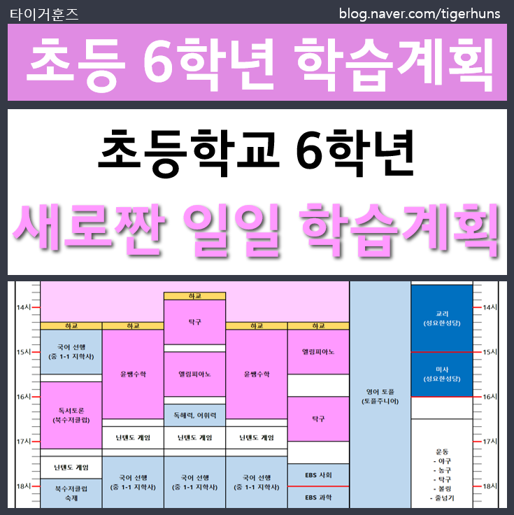  초등학교 6학년 1년간 학습 계획