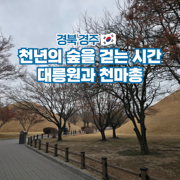  경주 여행 코스 가볼만한곳 대릉원 천마총 입장료 주차장
