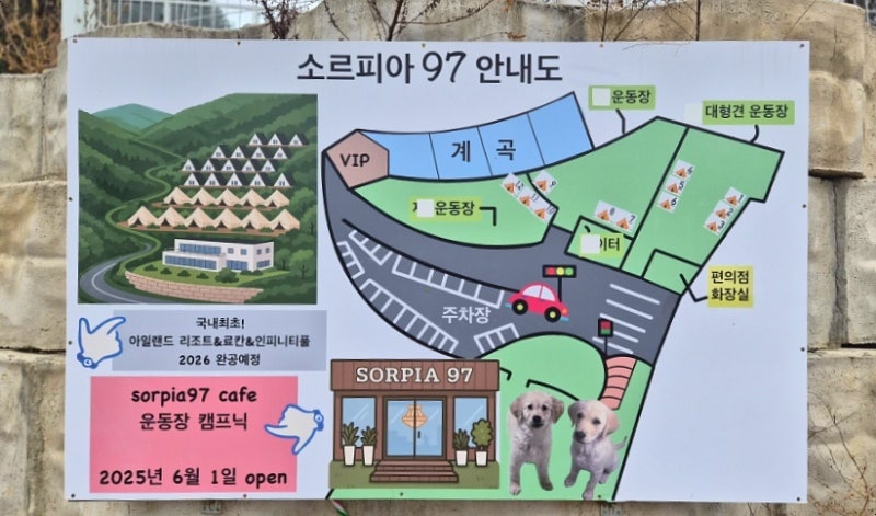 사진 5