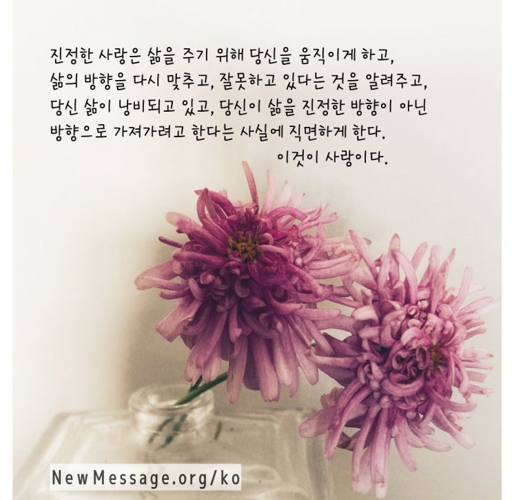  일상대화에서 듣는 사랑과는 동떨어진