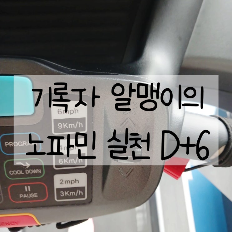  도파민 디톡스 D+6 | 야식의 대가 감기, 그래도 다시 시작하는 노파민 실천