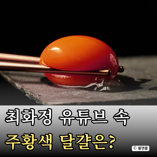  최화정 유튜브 계란 달걀 상하농원 유정란 가격 리뷰
