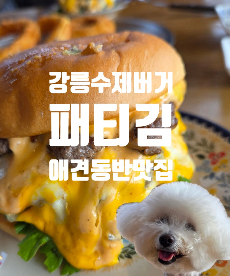 [강릉]애견동반 여행 중 들른 수제버거 맛집 패티김 ㅣ 경포 실내동반 가능