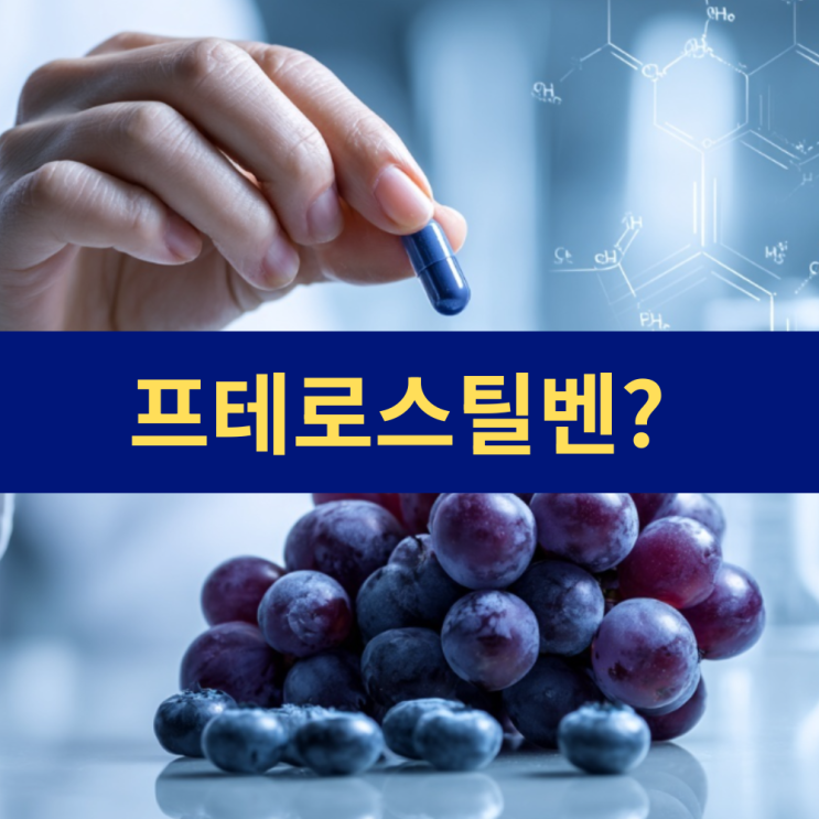  프테로스틸벤 효능 | 블루베리 효능 | 항산화 노화방지 항노화